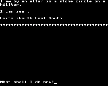 Druid's Circle, The (19xx)(Holl-Soft)[h TSTH] screen shot game playing